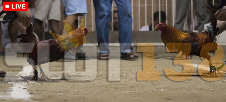 memilih kasino daring yang paling sesuai dan aman